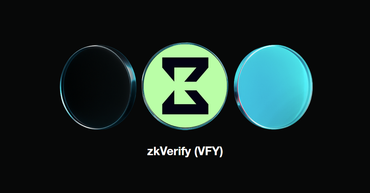zkVerify blockchain ZK proof verification
