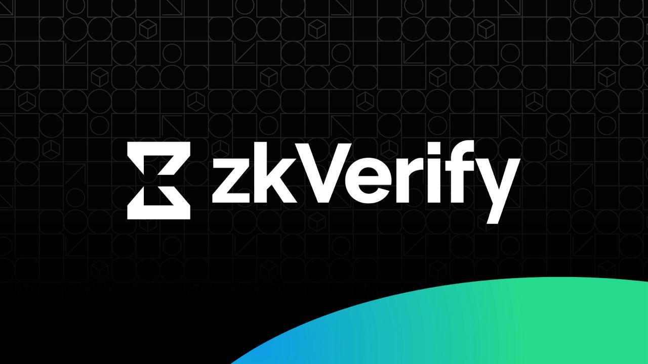 zkVerify proof verification layer