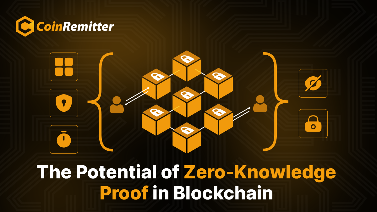 ZK proofs fraud prevention